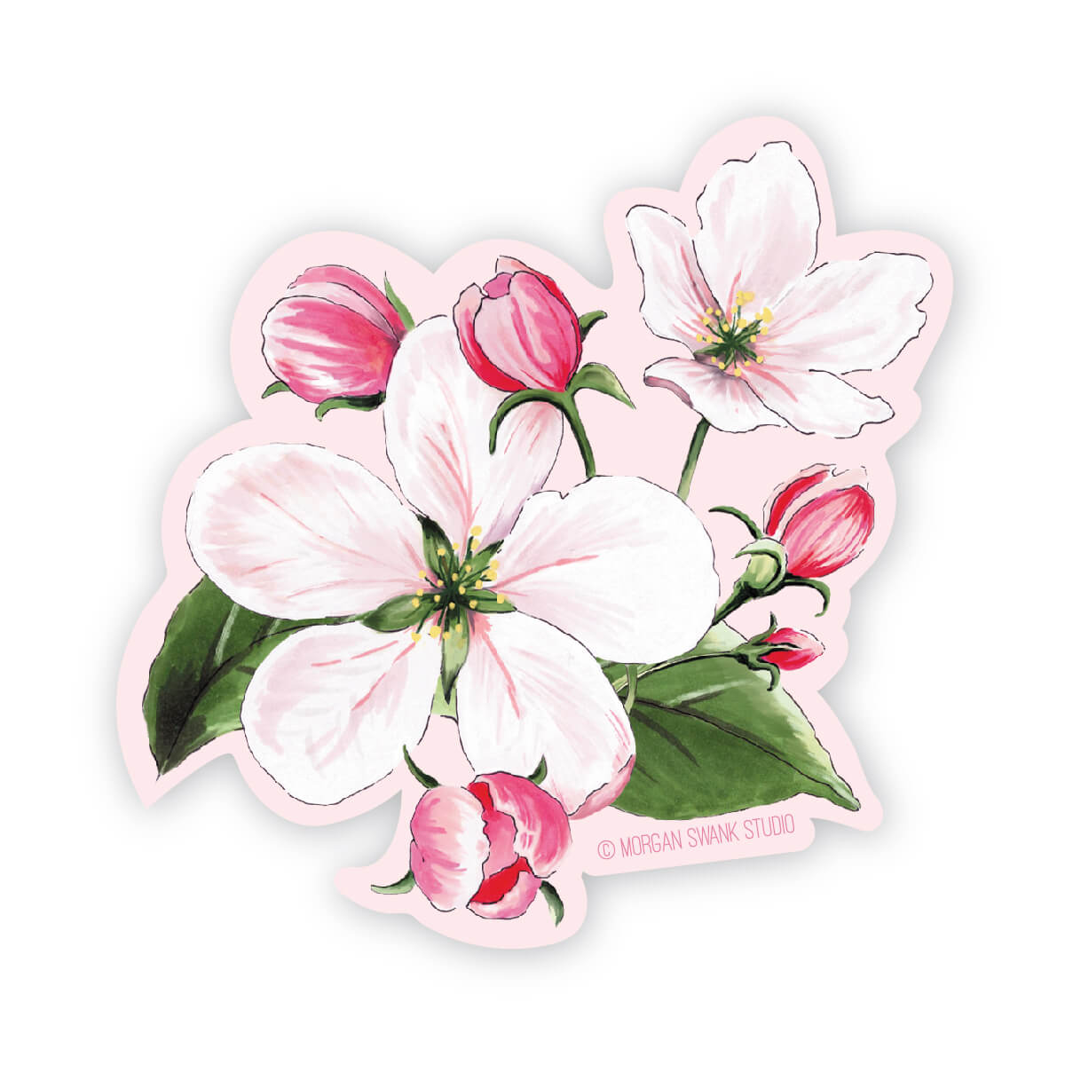 Apple Blossom Sticker