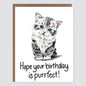 Purrfect Birthday Card - Case of 6