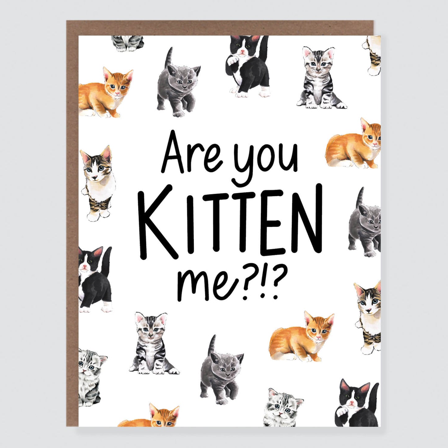 Are You Kitten Me Card - Case of 6