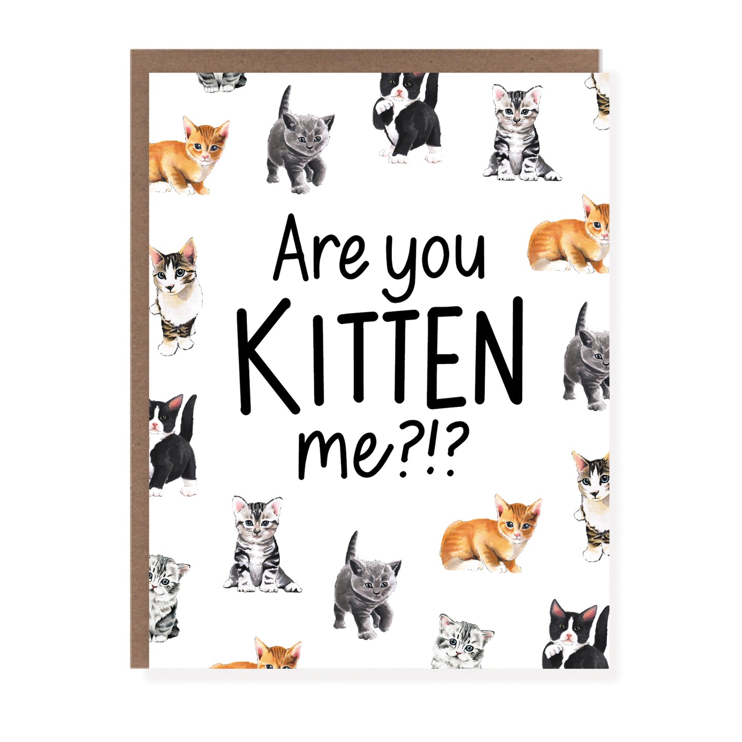 Are You Kitten Me Card - Case of 6