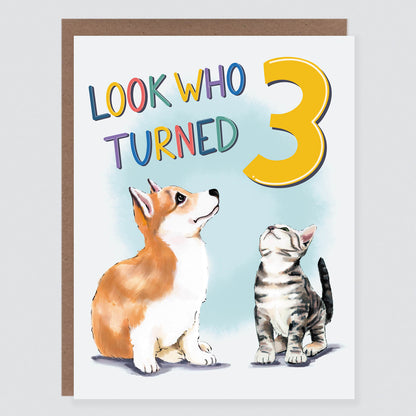 Look Who Turned Three Puppy and Kitty Birthday Card - Case of 6