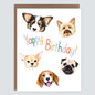 Dog Yappy Birthday Card - Case of 6