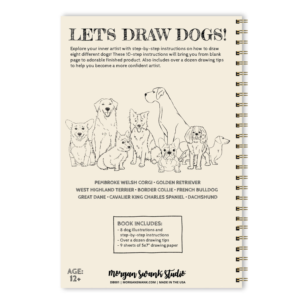 Draw 8 Dogs | How To Draw Activity Book