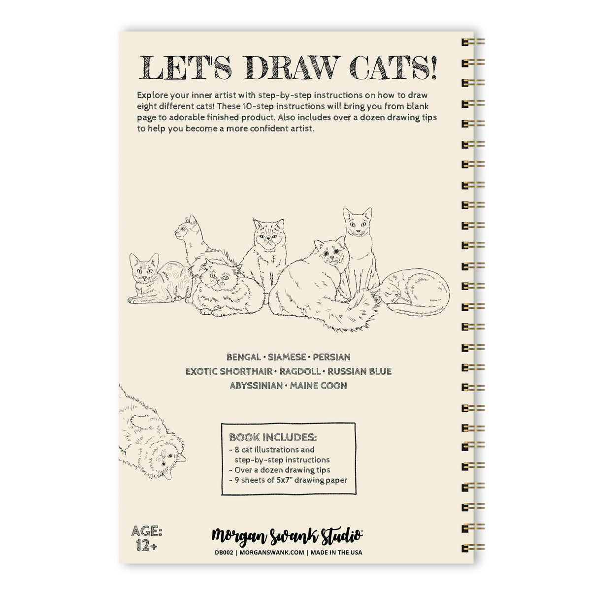 Draw 8 Cats | How To Draw Activity Book