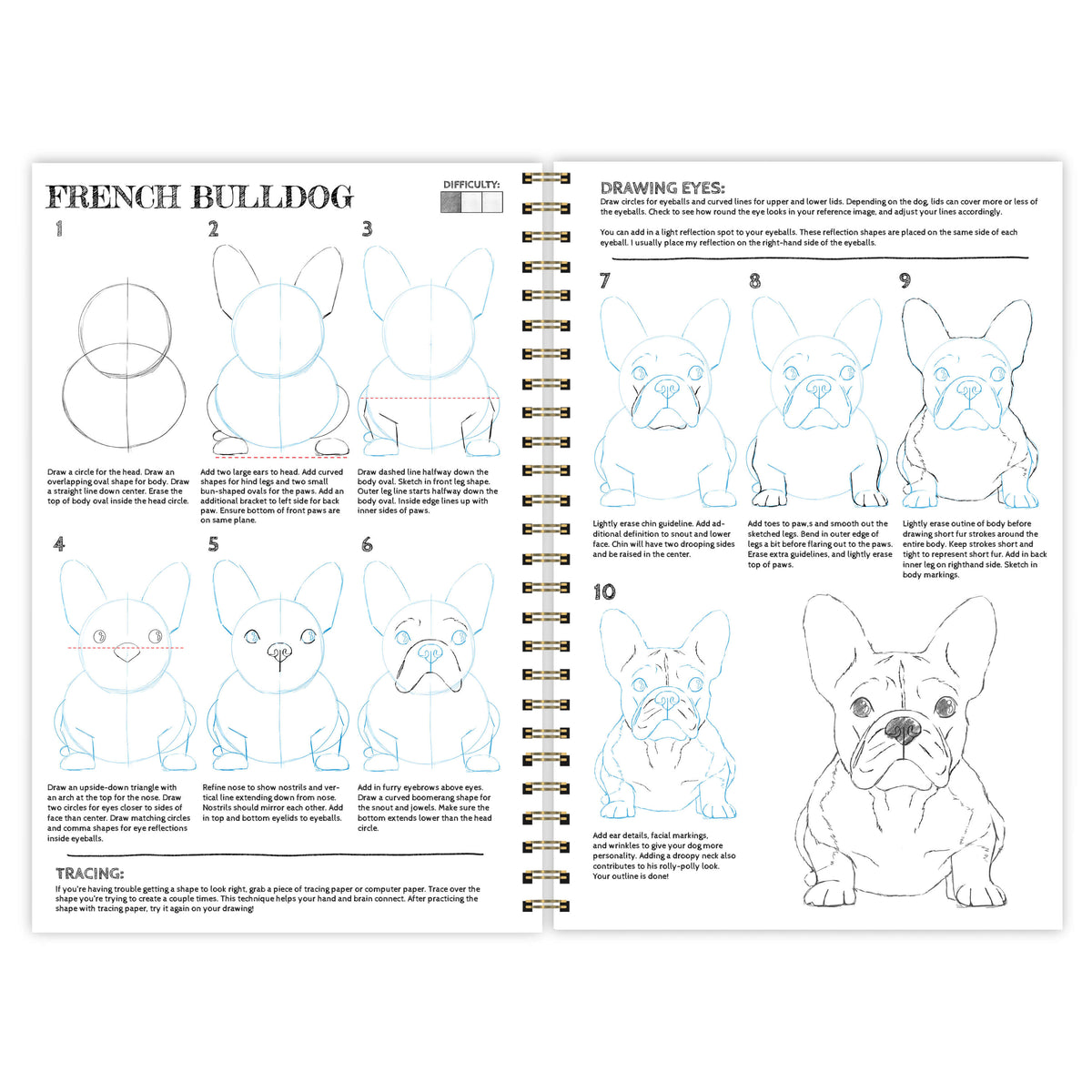 Draw 8 Dogs | How To Draw Activity Book