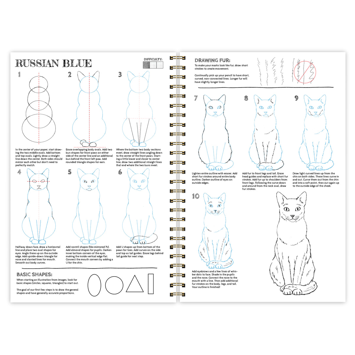 Draw 8 Cats | How To Draw Activity Book
