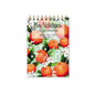 Orange Blossom Mini Notebook - Case of 4