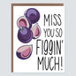 Miss You So Figgin Much