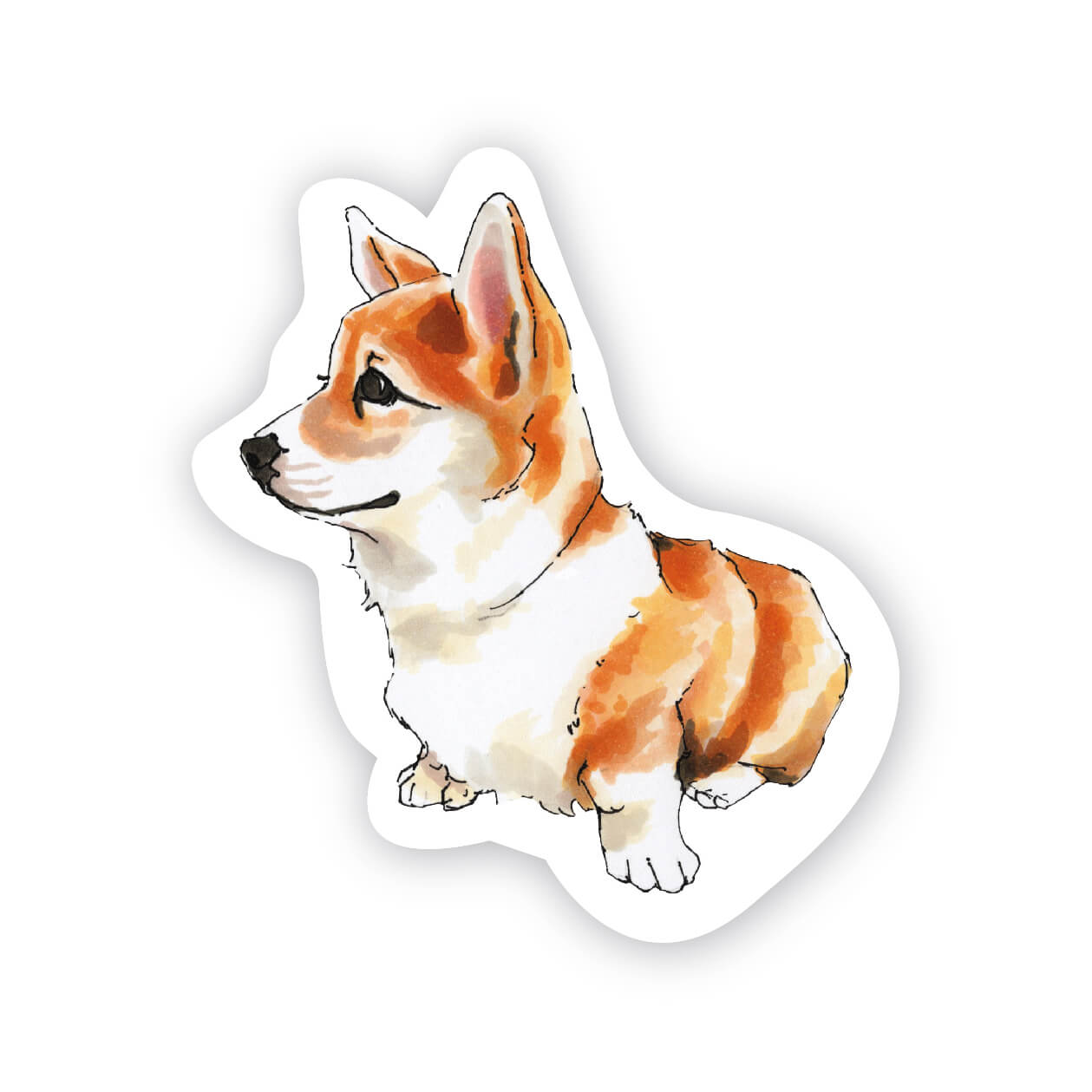 Corgi Magnet - Case of 6