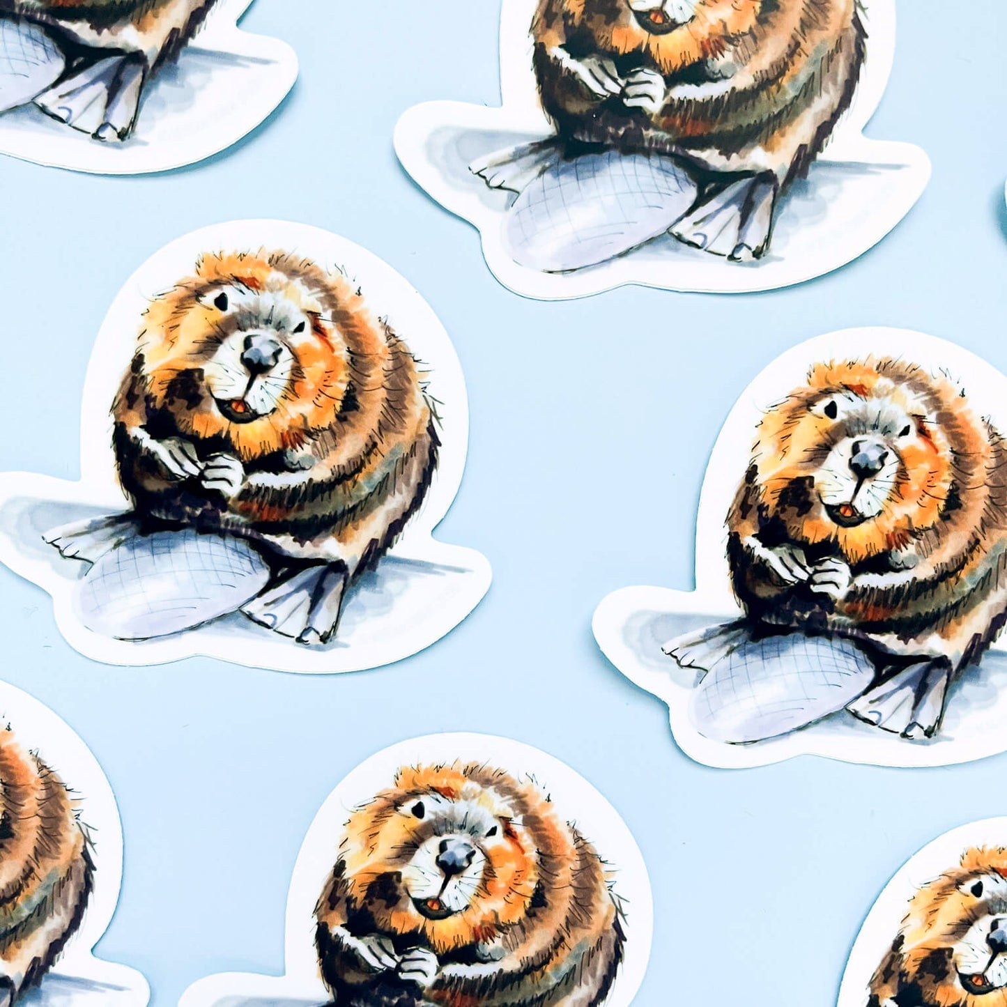 Beaver Sticker - Case of 6