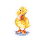 Duckling Sticker