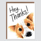 Hey Thanks Corgi Card - Case of 6