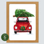 Christmas Bug Card: Boxed Set of 6
