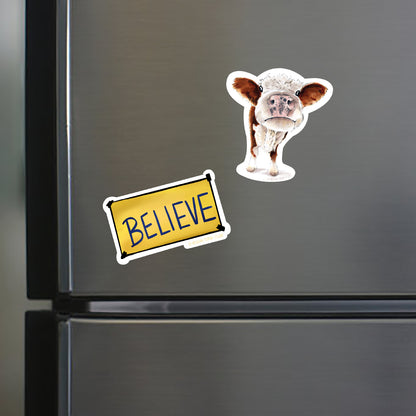 Believe Lasso Magnet